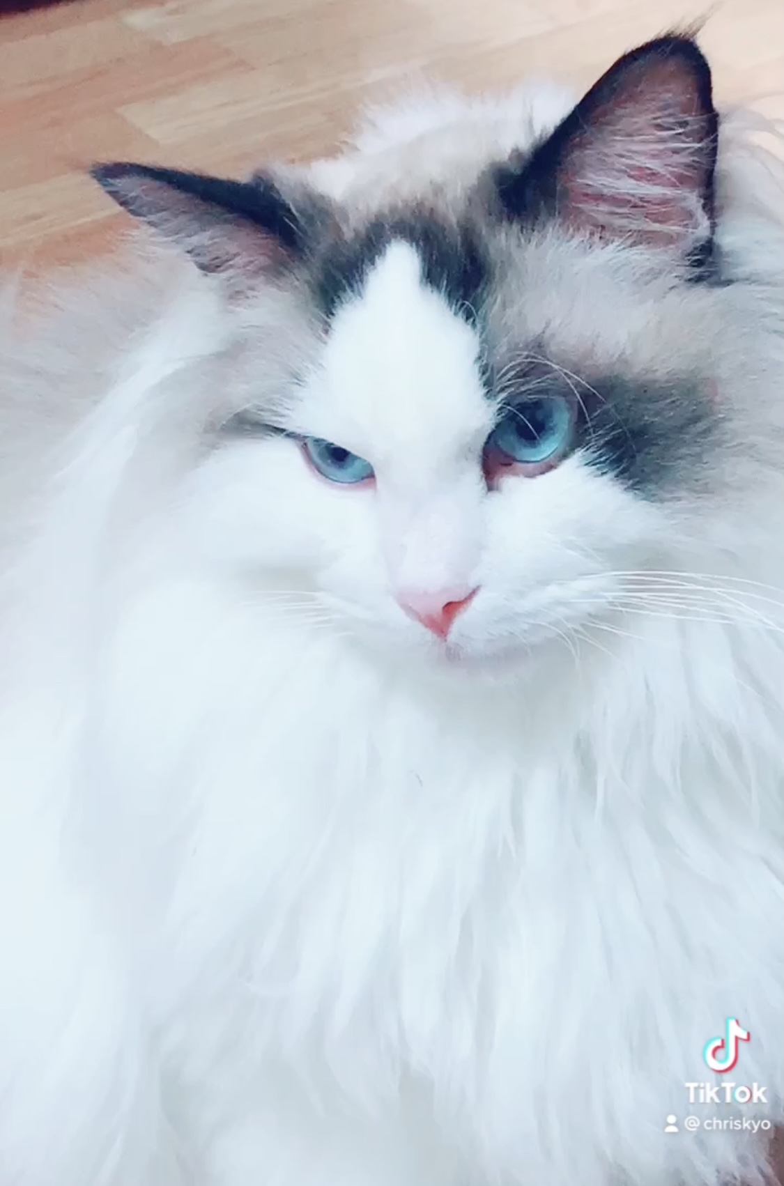 Adam!　Happy second birthday.