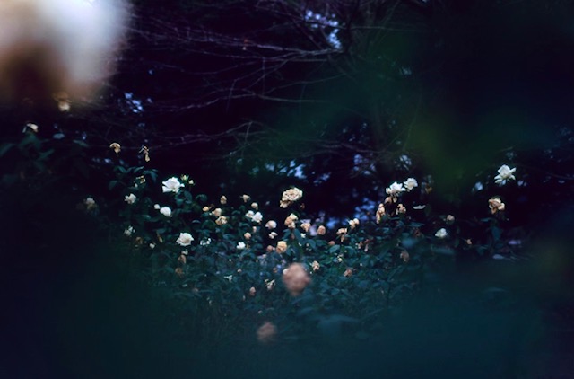 Next Work　Ⅰ　（English）