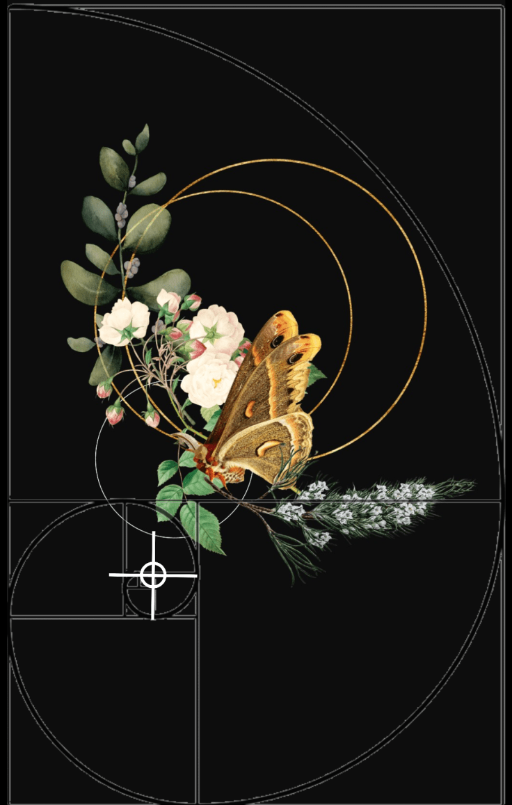 Sacred and Secular phenomenology.