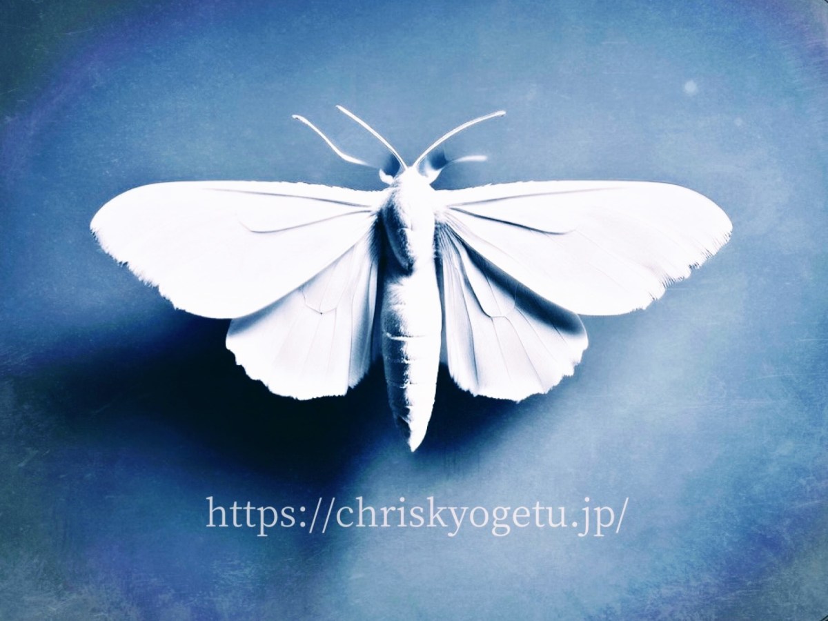 お知らせ　Announcement