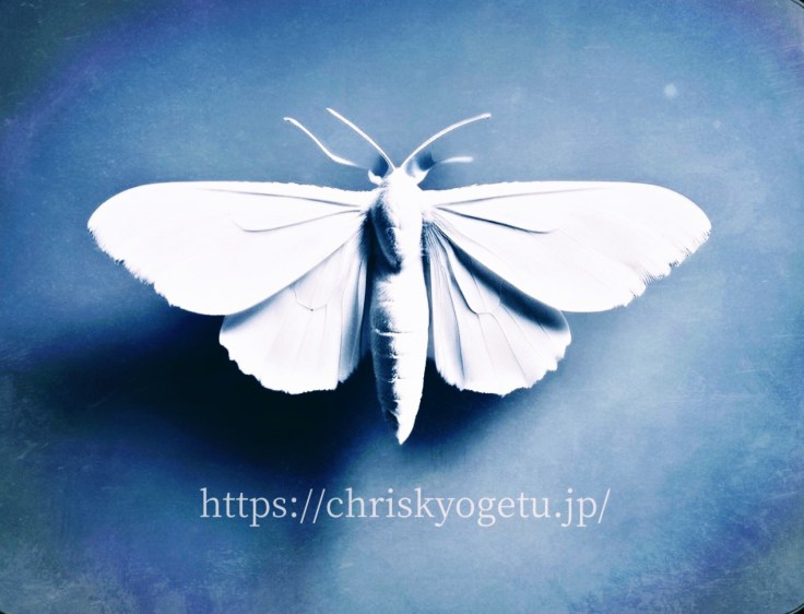 お知らせ　Announcement