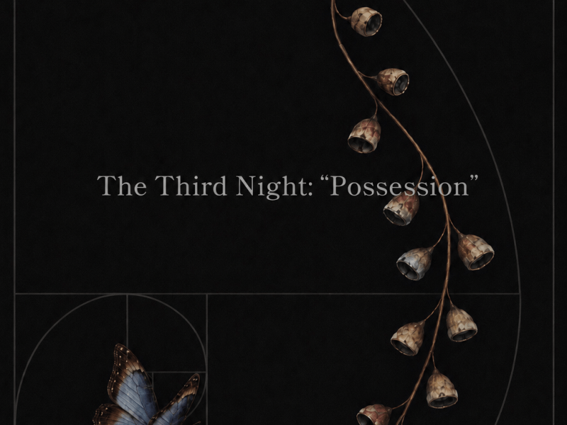 The Third Night-Possession